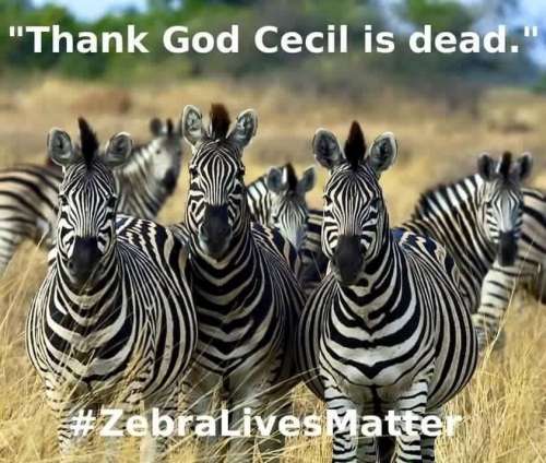 Zebra-Lives-Matter